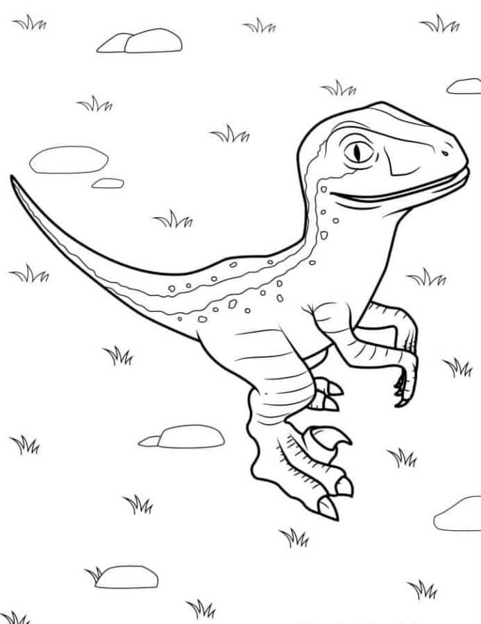 Nakreslete Velociraptor zdarma prostý tisknutelné omalovánka