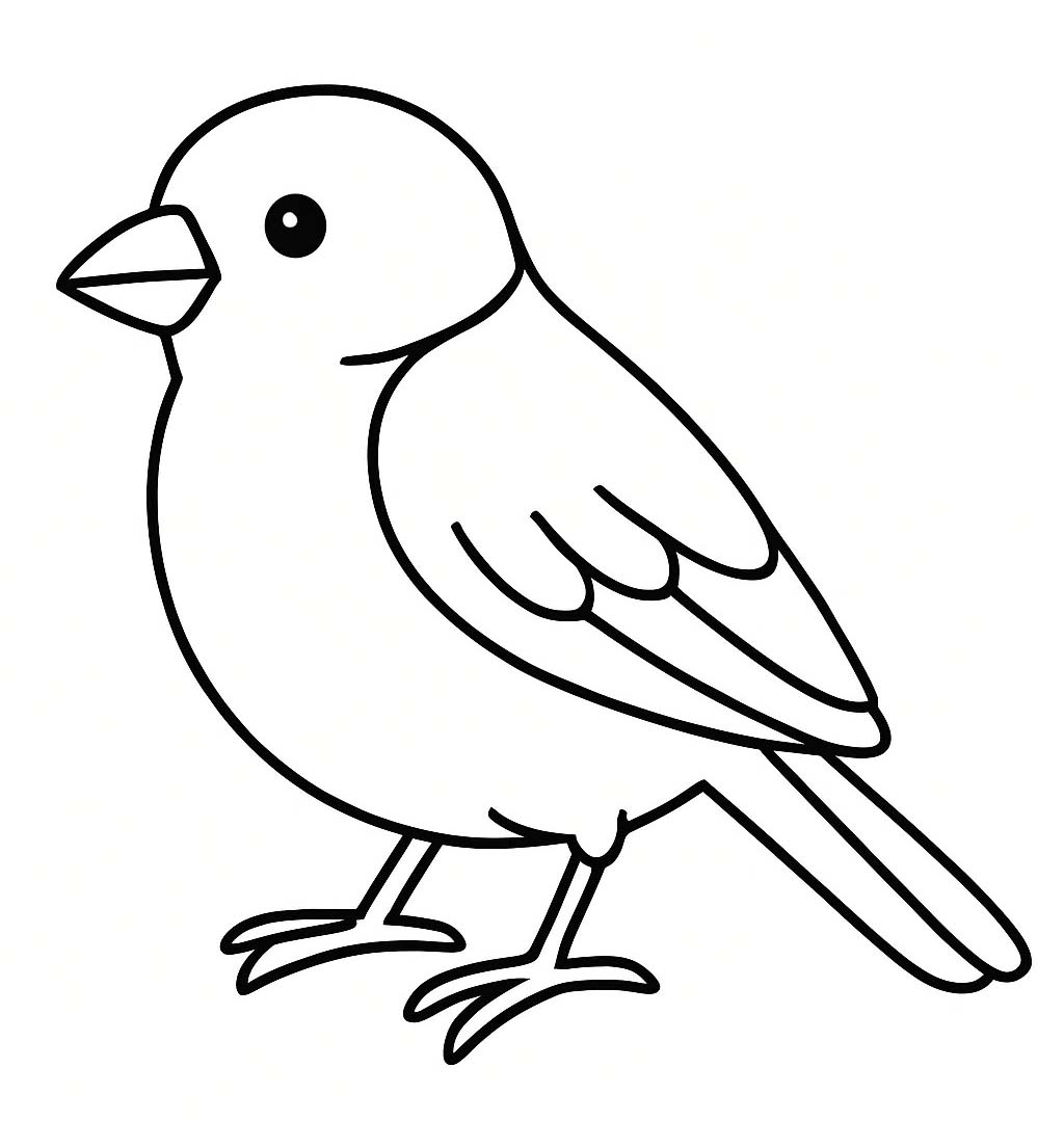 Nakreslete Vrabec 2 omalovánka