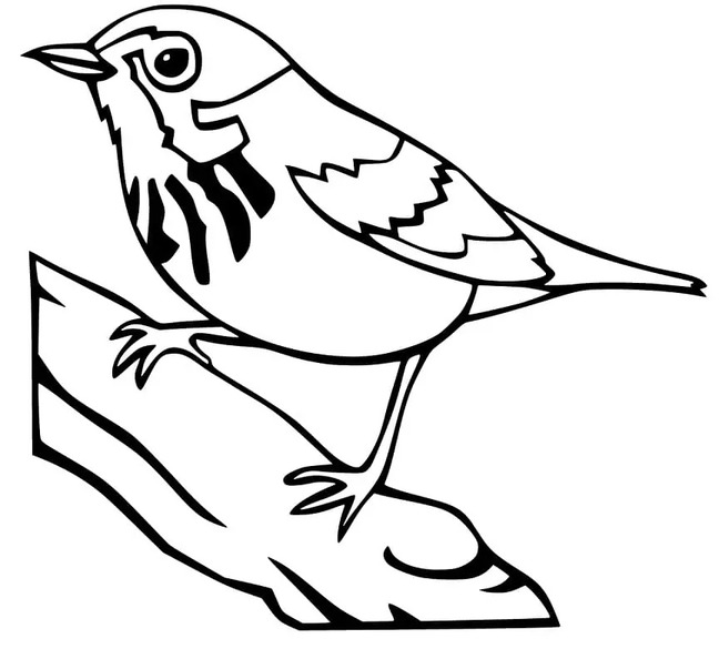 Nakreslete Vrabec 5 omalovánka