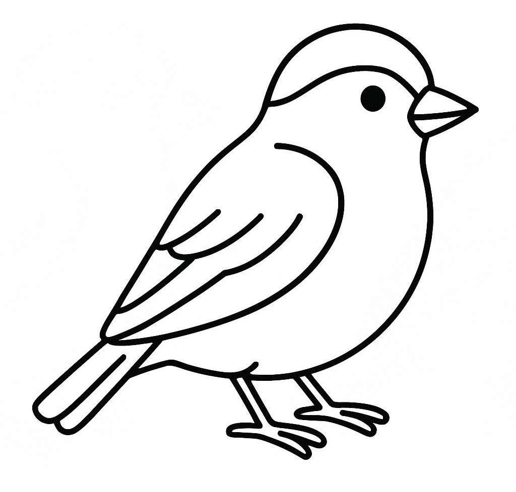 Nakreslete Vrabec 6 omalovánka