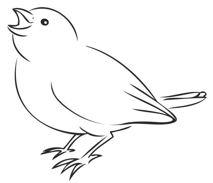 Nakreslete Vrabec 7 omalovánka