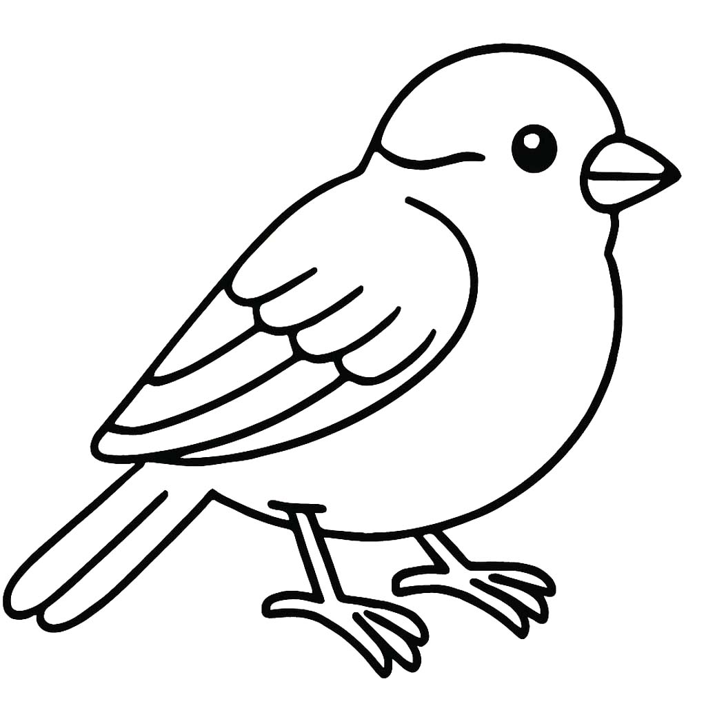 Nakreslete Vrabec 8 omalovánka