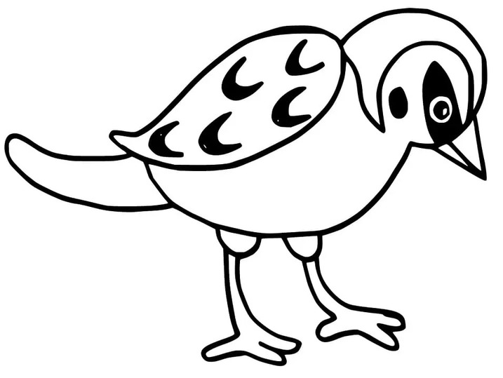 Nakreslete Vrabec k vytisknutí omalovánka