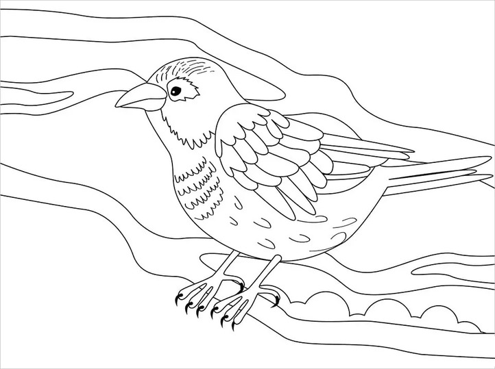 Nakreslete Vrabec snadný tisknutelné omalovánka