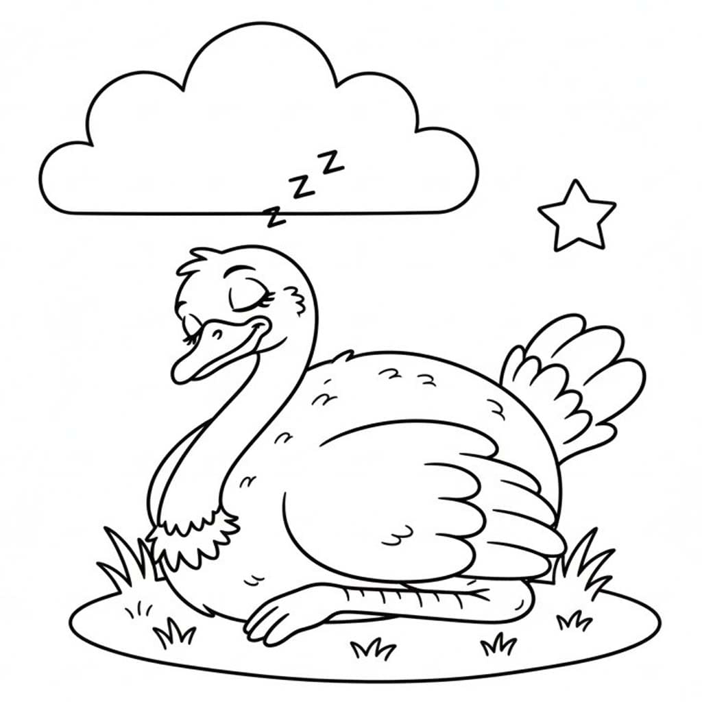 Pštros 3 omalovánka