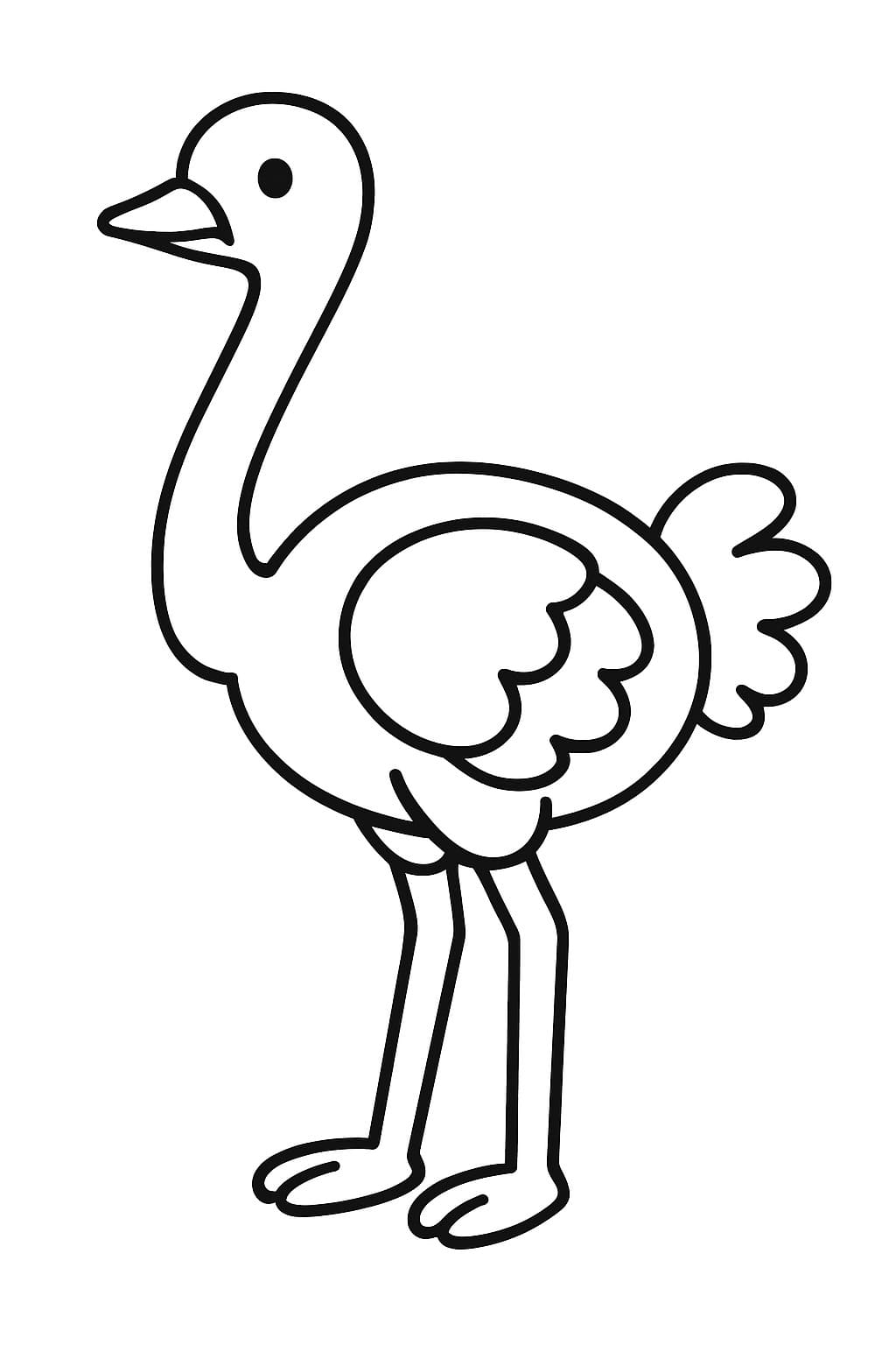 Pštros 6 omalovánka