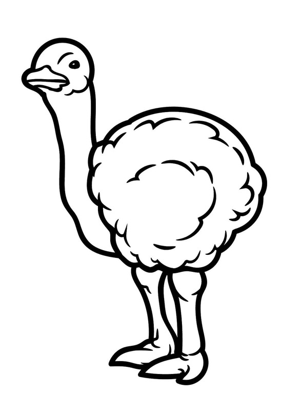 Pštros zdarma pro děti omalovánka