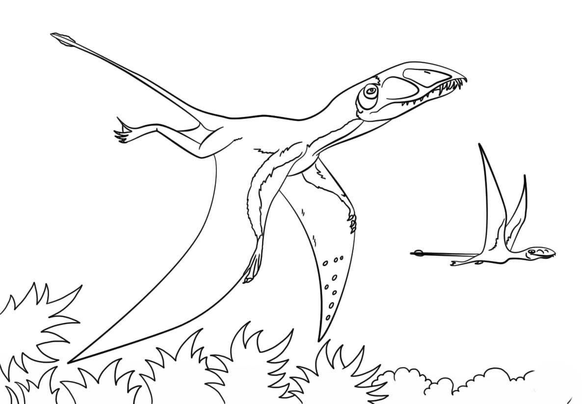 Pterodaktyl zdarma tisknutelné pro děti omalovánka