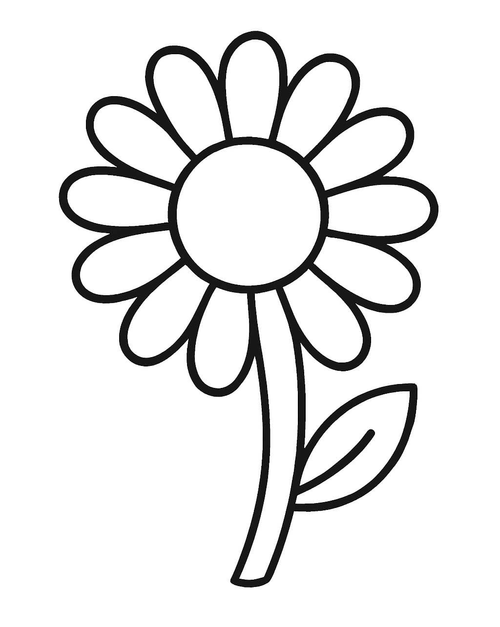 Sedmikráska k vytisknutí zdarma omalovánka