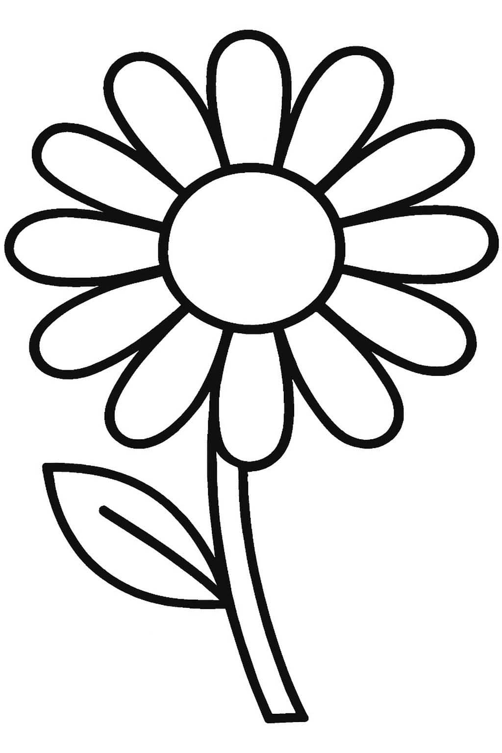 Sedmikráska k vytisknutí omalovánka