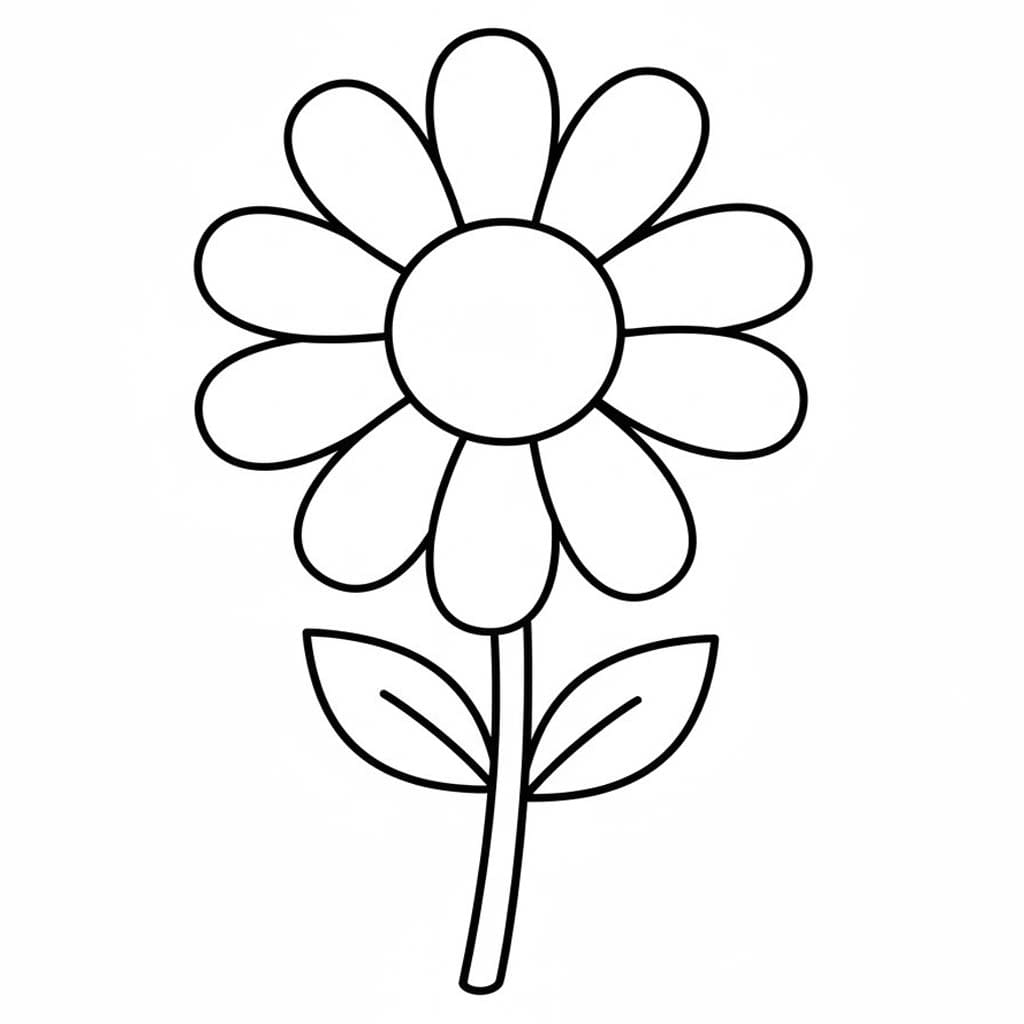 Sedmikráska zdarma prostý omalovánka