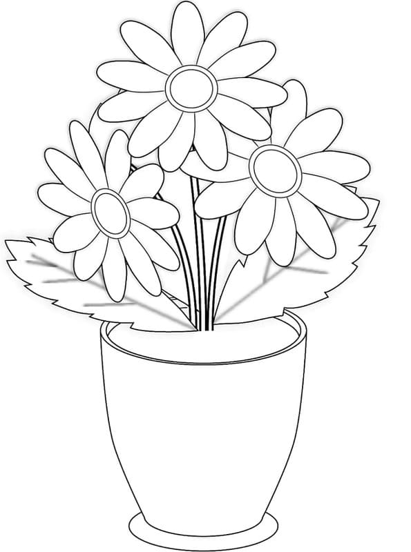 Sedmikráska omalovánky