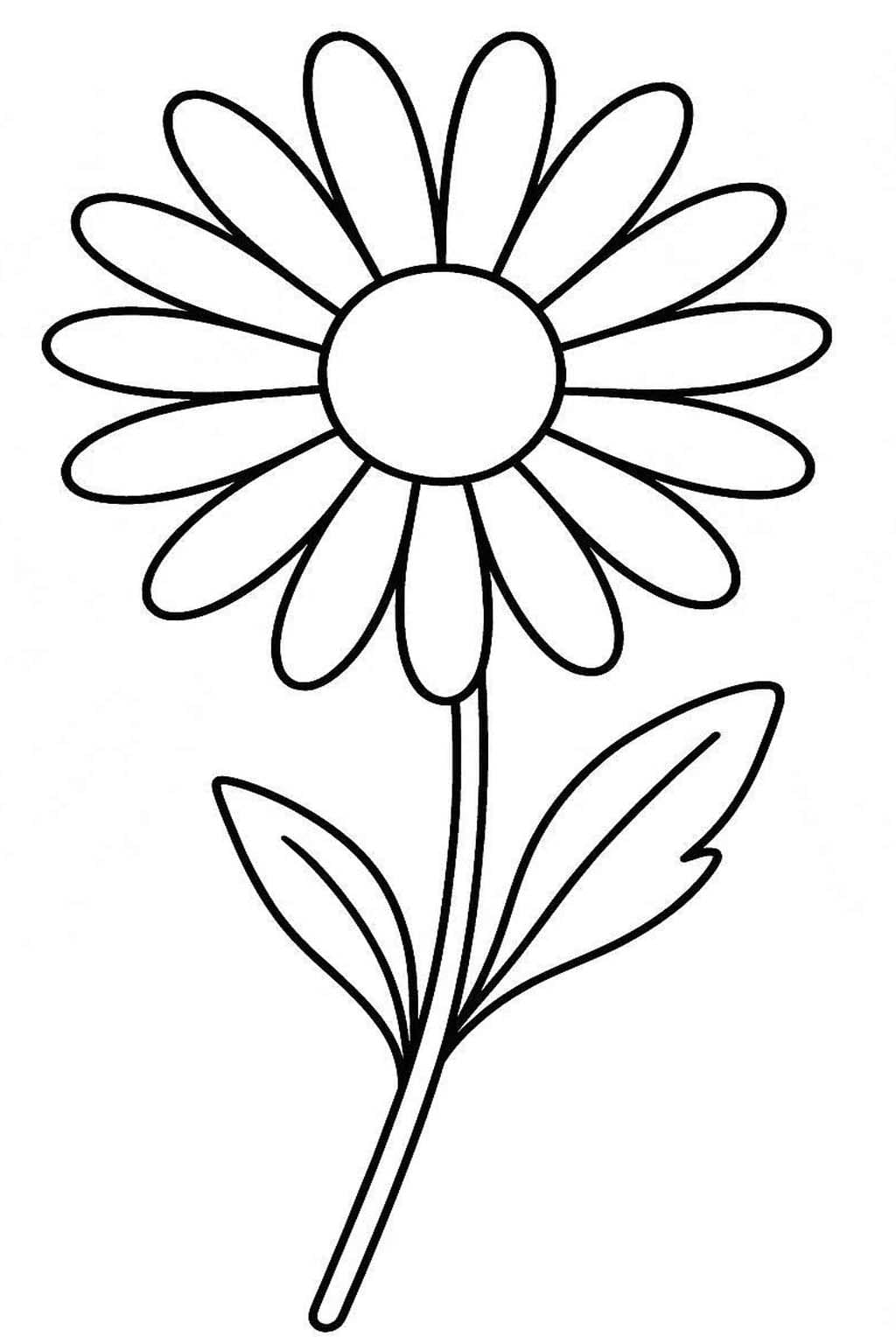 Sedmikráska zdarma omalovánka