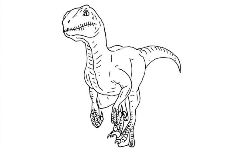 Velociraptor omalovánky