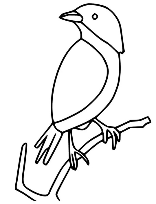 Vrabec k vytisknutí zdarma omalovánka