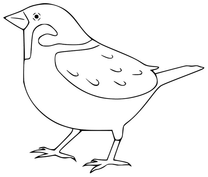 Vrabec pro děti omalovánka