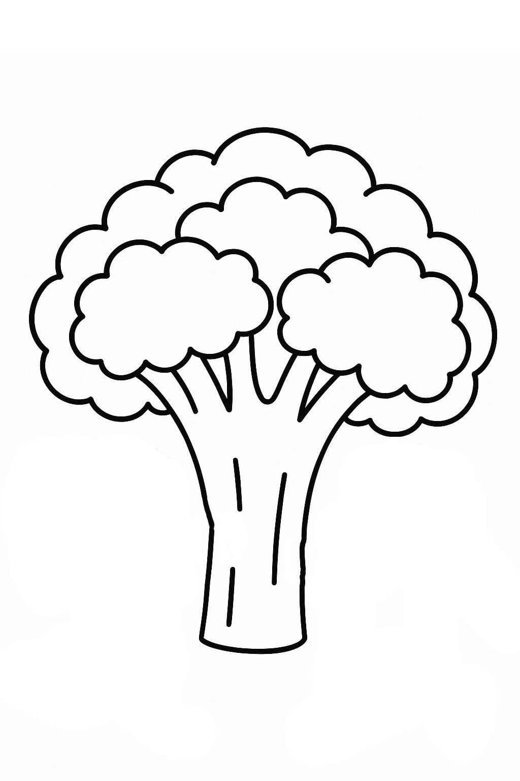 Brokolice prostý tisknutelné omalovánka
