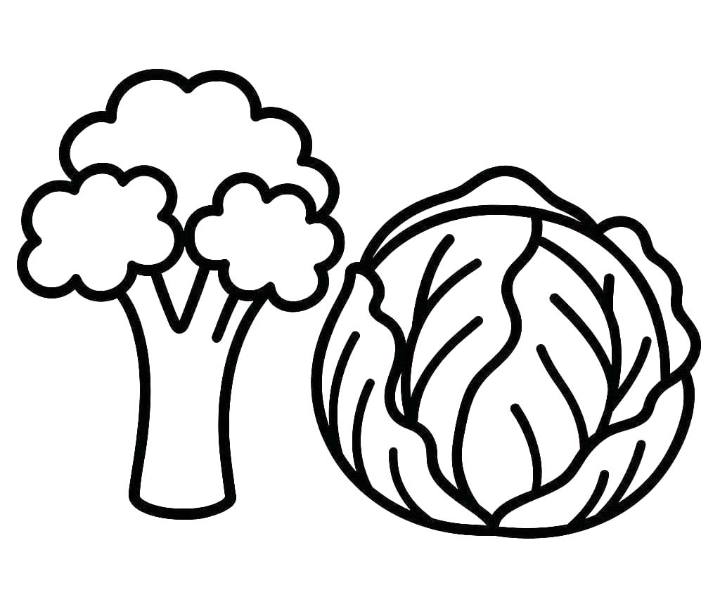 Brokolice zdarma prostý omalovánka