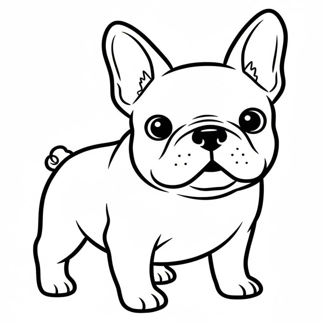 Francouzský Buldoček tisknutelné pro děti omalovánka