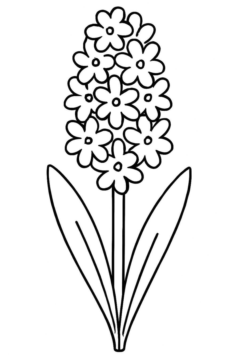 Hyacint k vytisknutí zdarma omalovánka