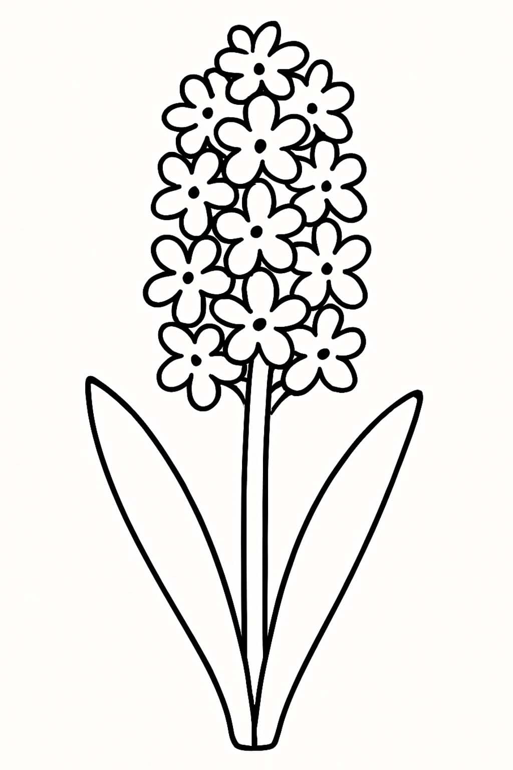 Hyacint k vytisknutí omalovánka