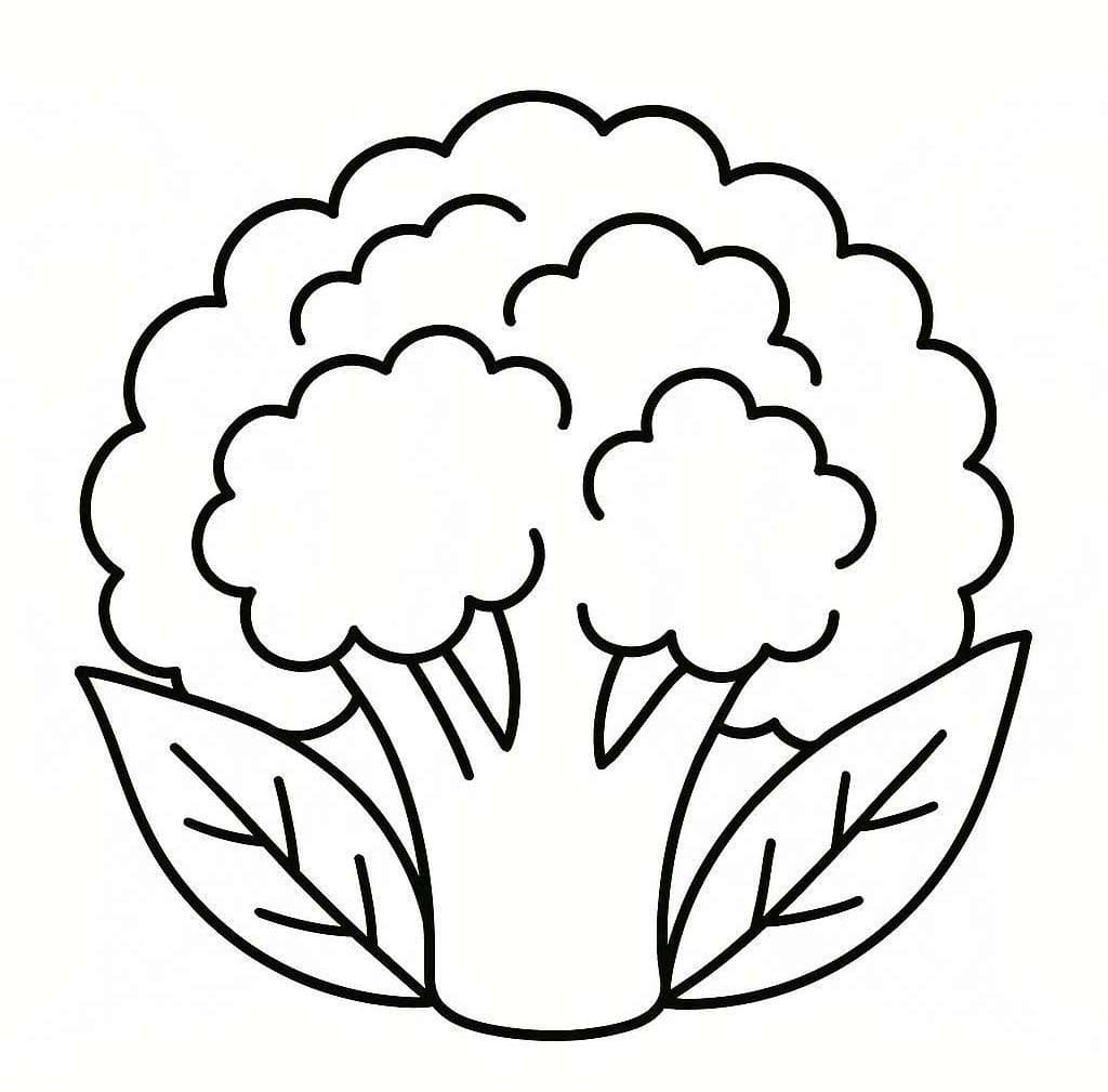 Květák prostý tisknutelné omalovánka