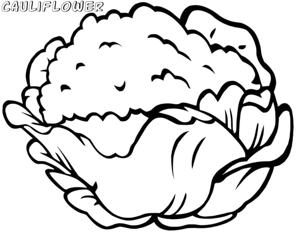 Květák tisknutelné omalovánka