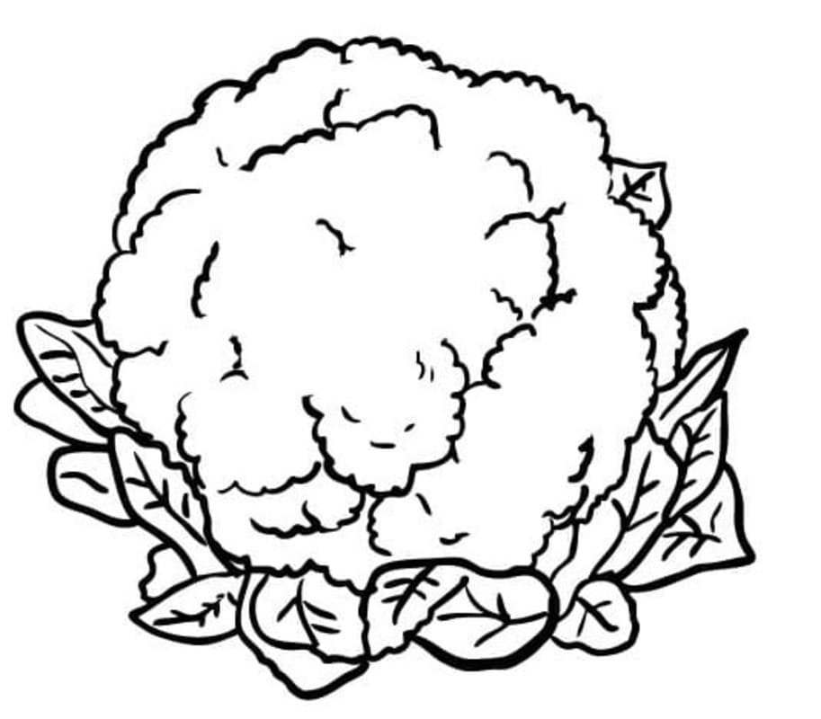 Květák zdarma snadný omalovánka