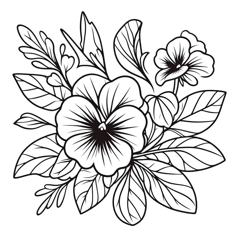 Maceška základní tisknutelné omalovánka