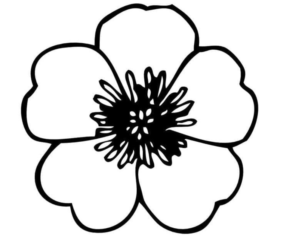 Maceška zdarma prostý tisknutelné omalovánka