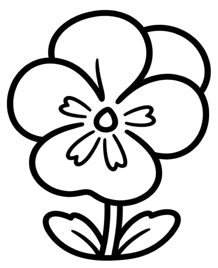 Maceška zdarma základní tisknutelné omalovánka