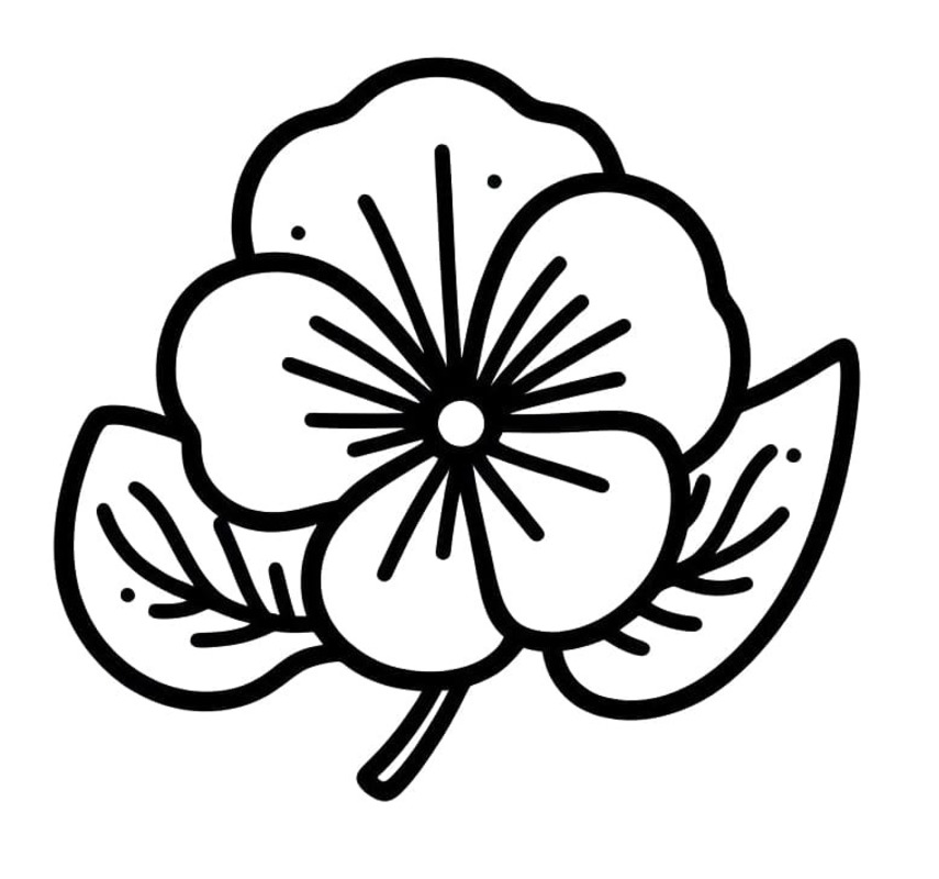 Maceška zdarma základní omalovánka