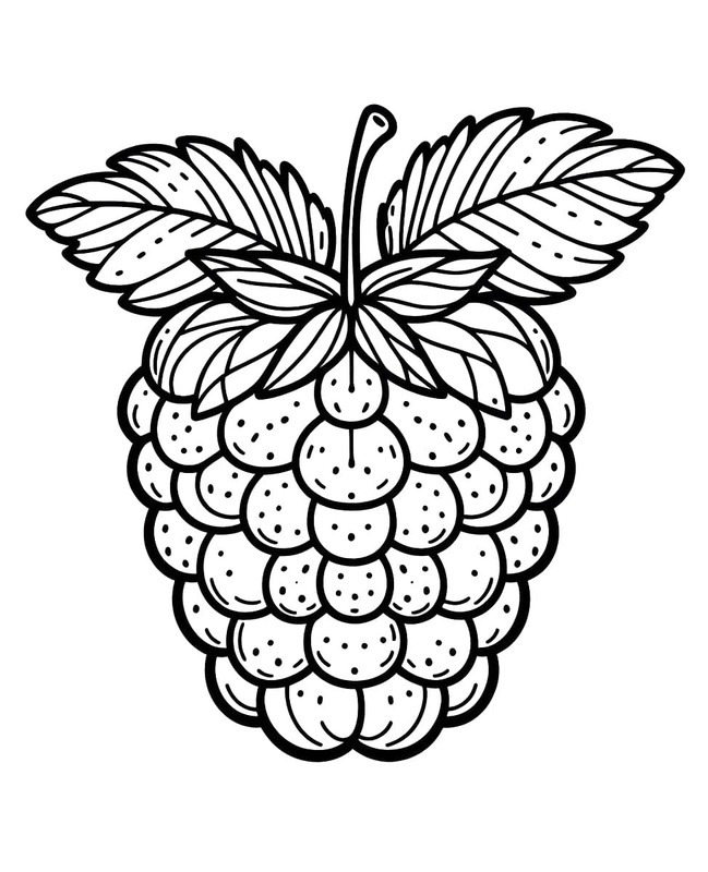 Malina tisknutelné omalovánka