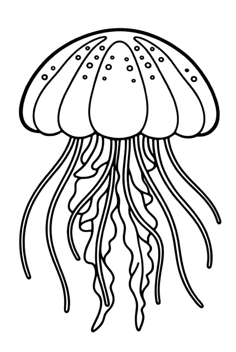 Medúza tisknutelné pro děti omalovánka