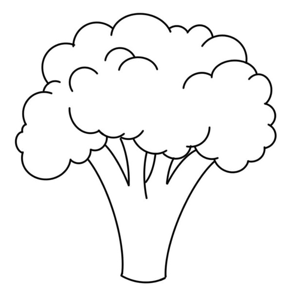 Brokolice omalovánky