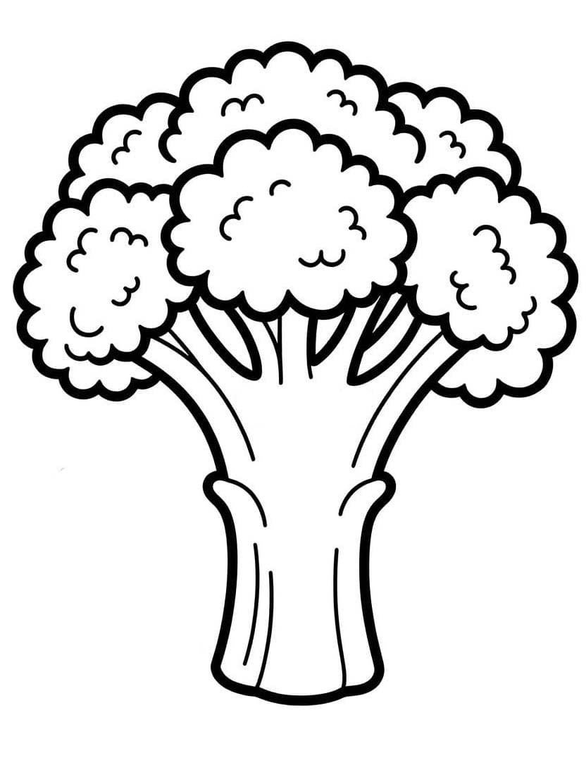 Nakreslete Brokolice prostý omalovánka