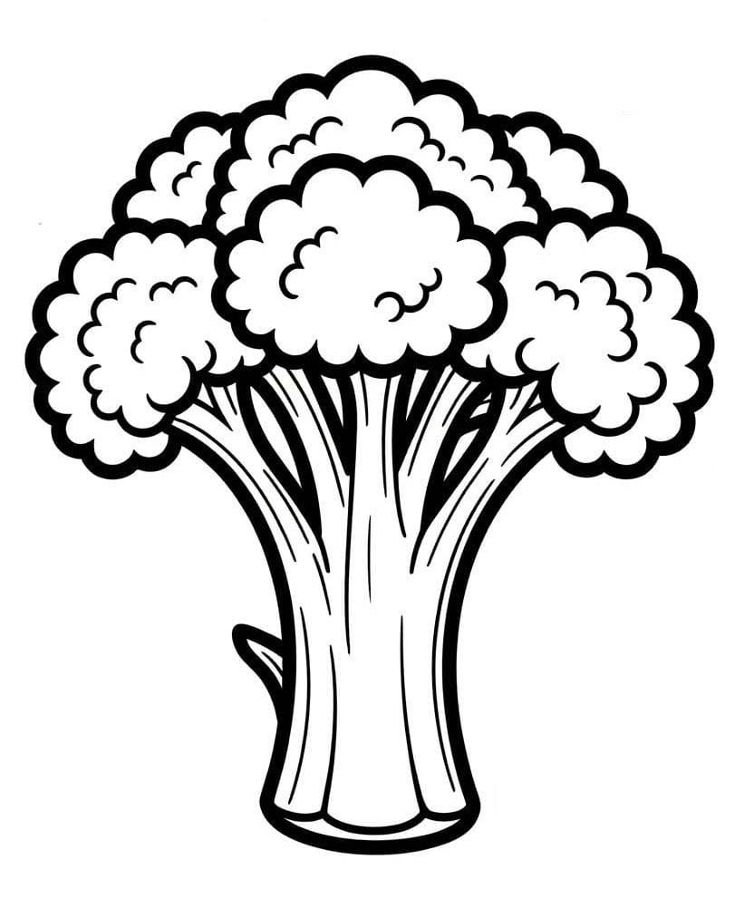 Nakreslete Brokolice zdarma pro děti omalovánka