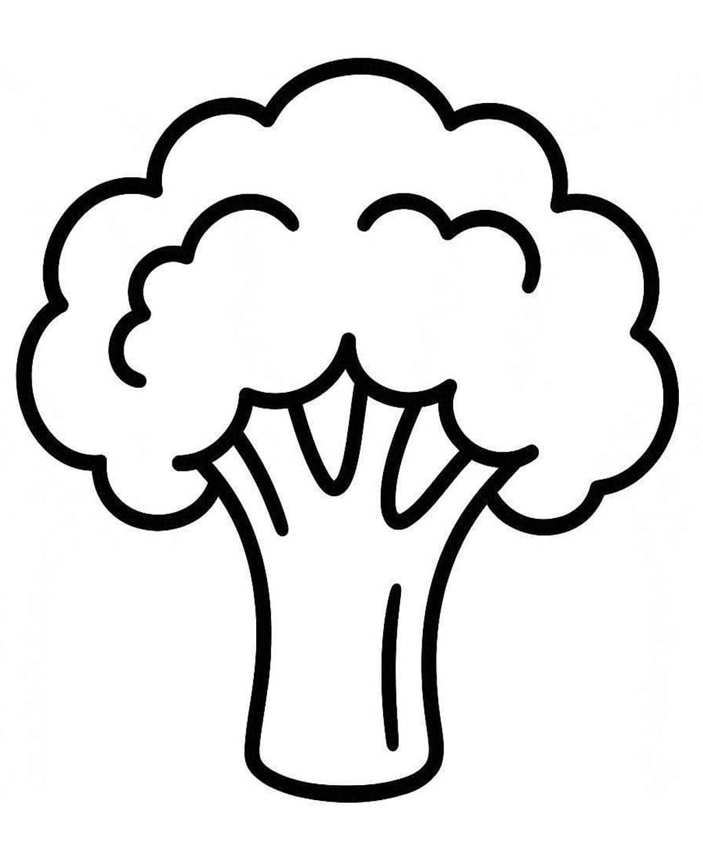 Nakreslete Brokolice zdarma základní tisknutelné omalovánka