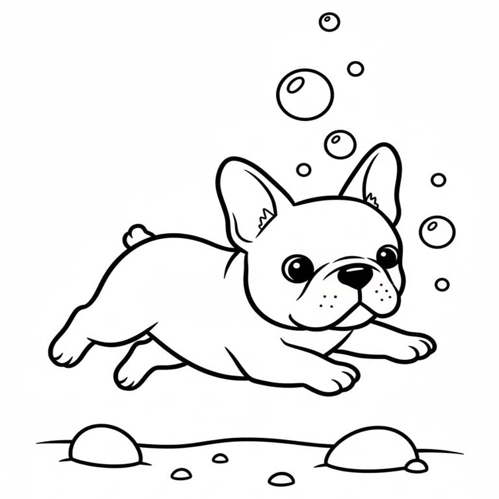 Nakreslete Francouzský Buldoček zdarma základní omalovánka