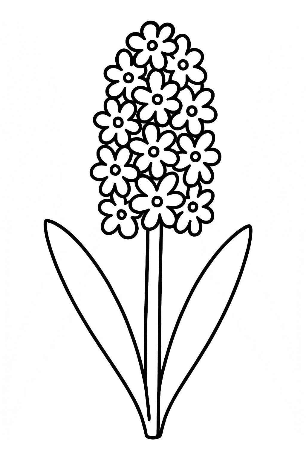 Nakreslete Hyacint základní tisknutelné omalovánka