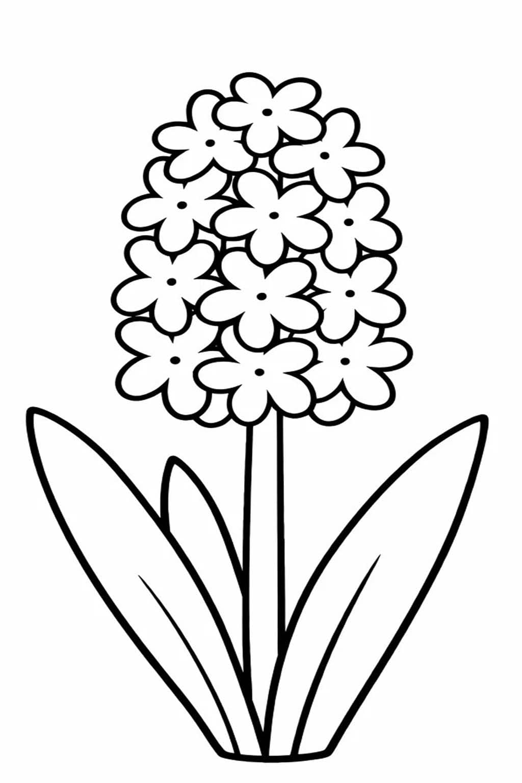 Nakreslete Hyacint zdarma snadný tisknutelné omalovánka