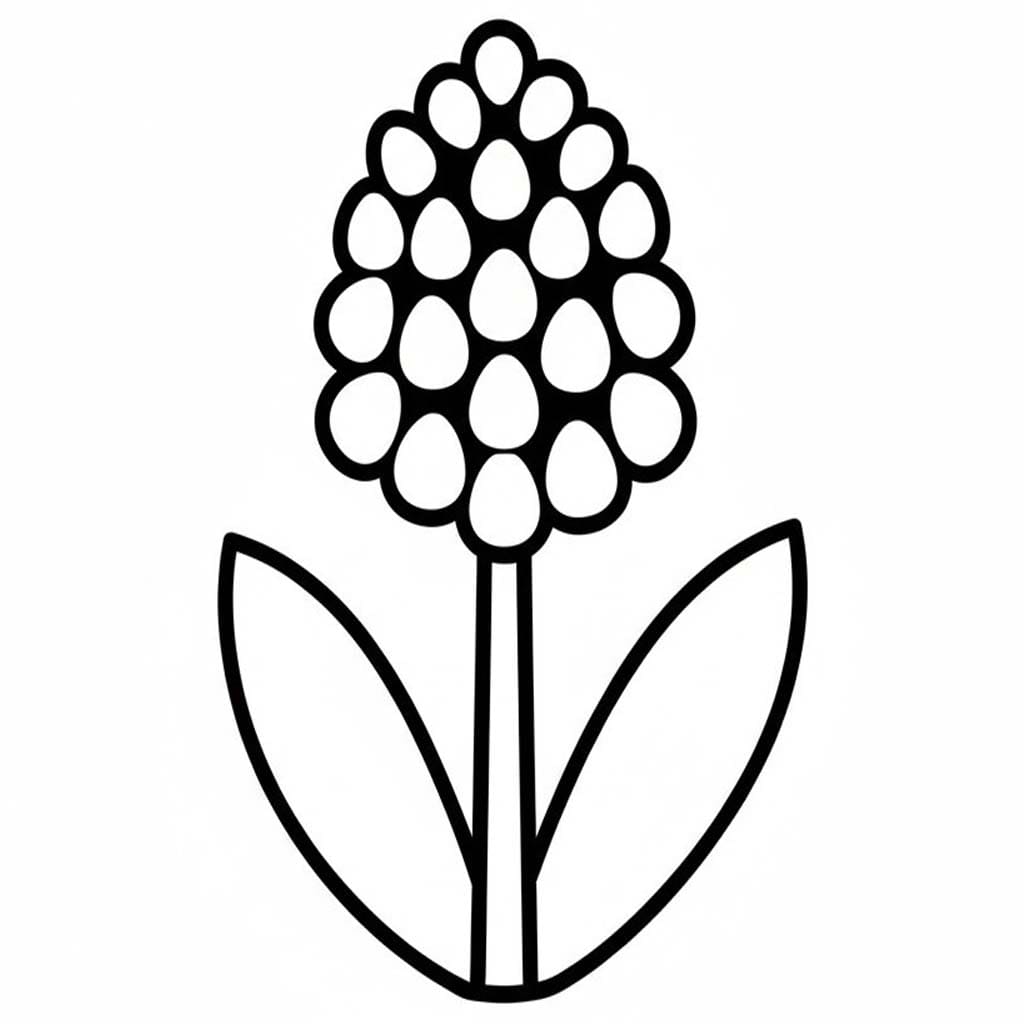 Nakreslete Hyacint zdarma omalovánka