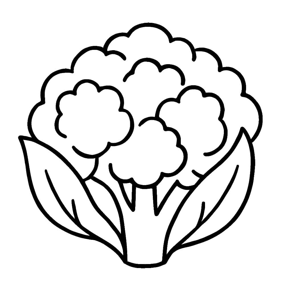 Nakreslete Květák pro děti omalovánka