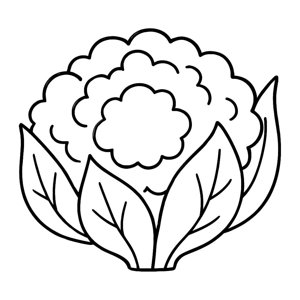 Nakreslete Květák zdarma pro děti omalovánka