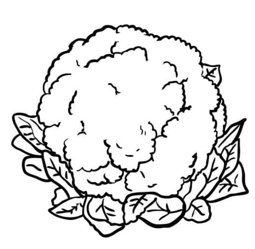 Nakreslete Květák zdarma prostý tisknutelné omalovánka
