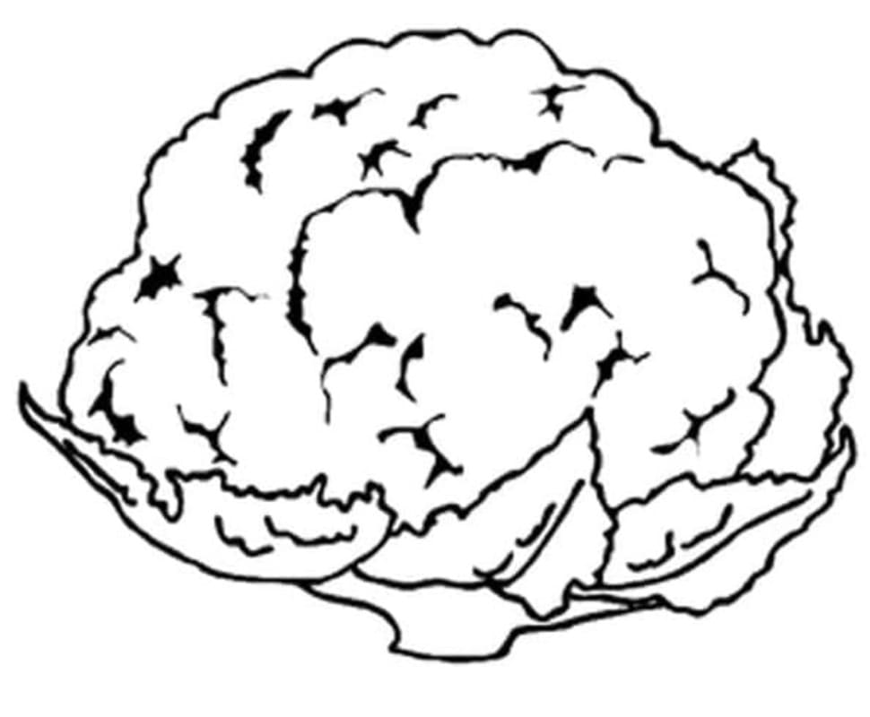 Nakreslete Květák zdarma základní tisknutelné omalovánka