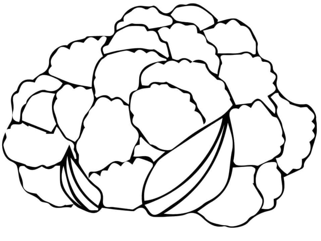 Nakreslete Květák zdarma základní omalovánka