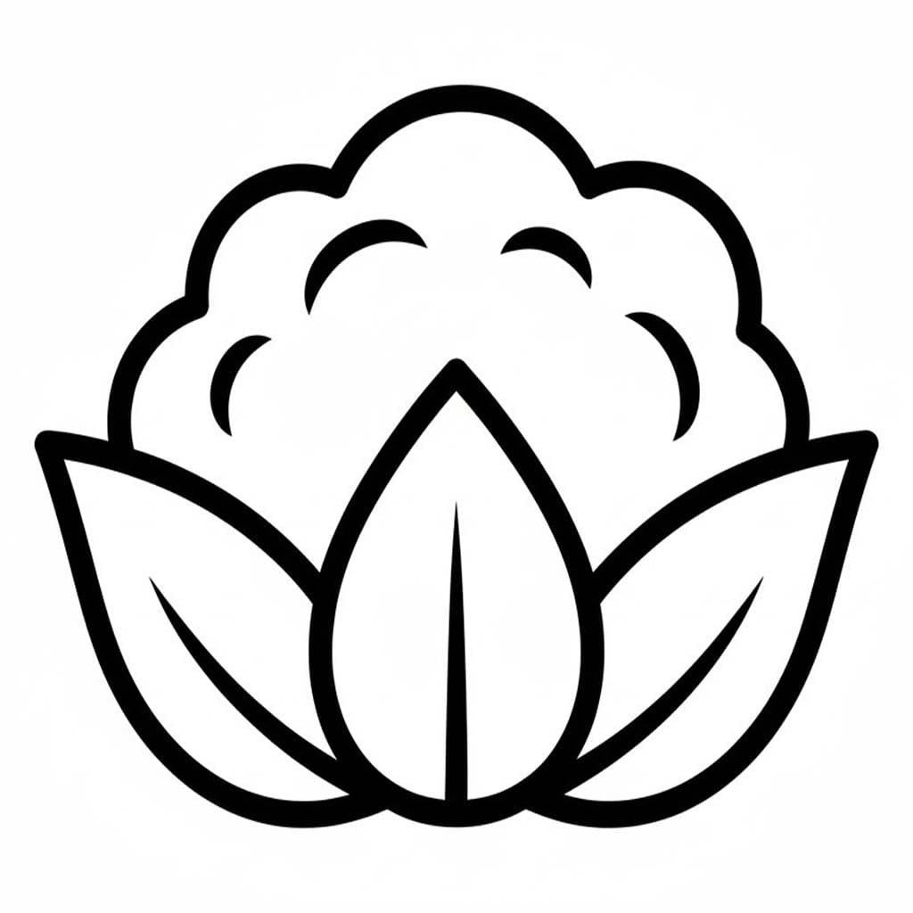 Nakreslete Květák zdarma omalovánka