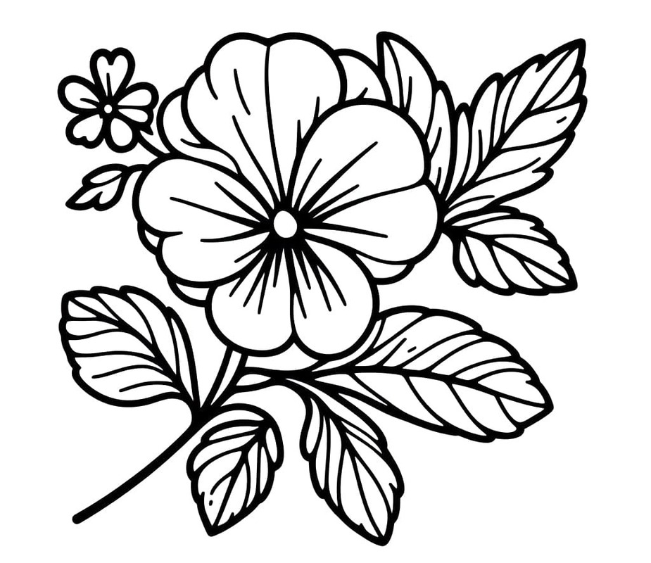 Nakreslete Maceška zdarma snadný tisknutelné omalovánka