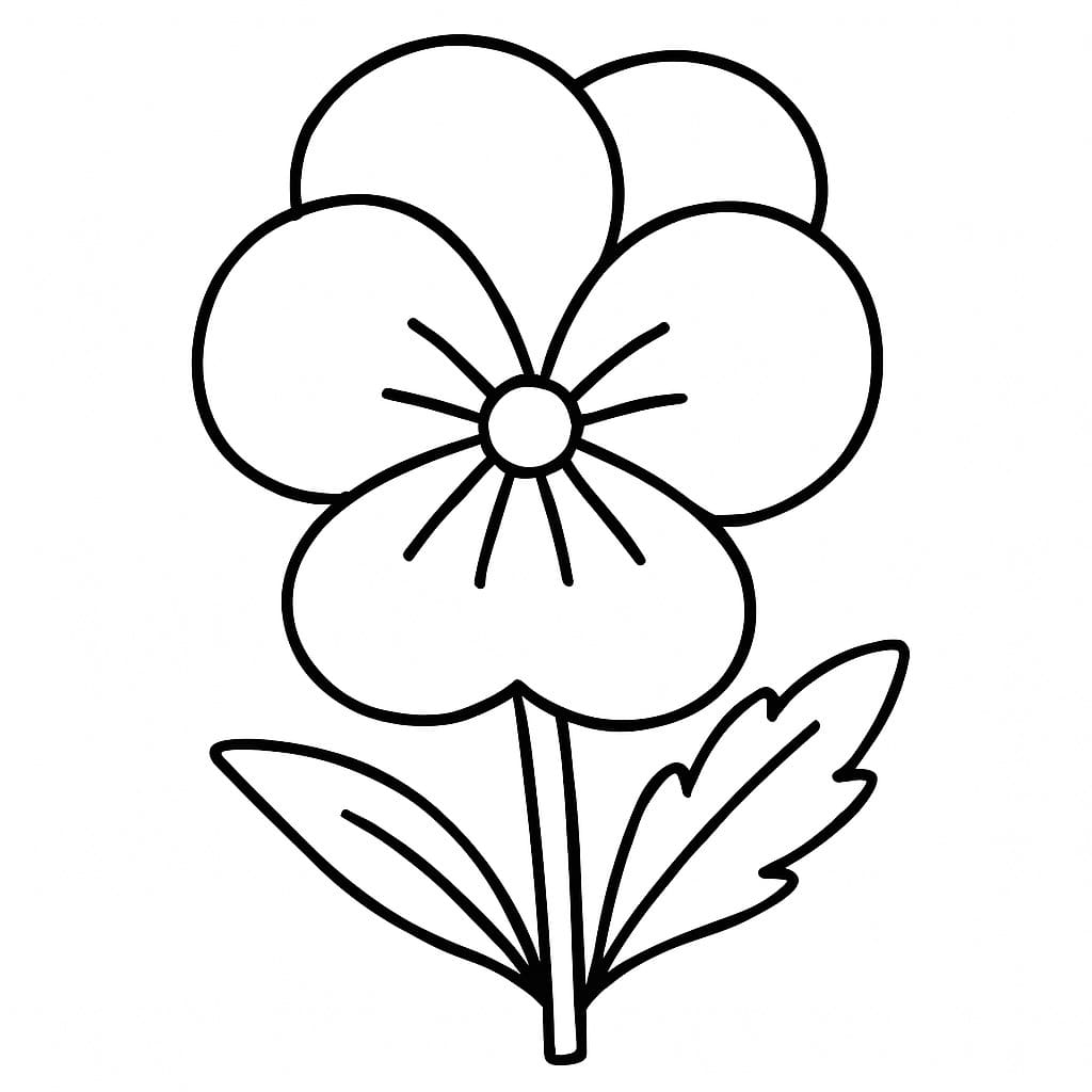 Nakreslete Maceška zdarma základní omalovánka